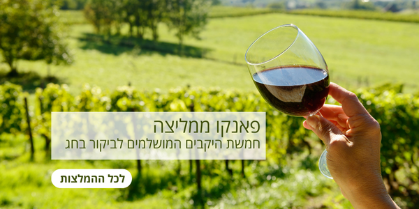 ביקור ביקבים בחול המועד